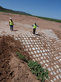 Tucumcari